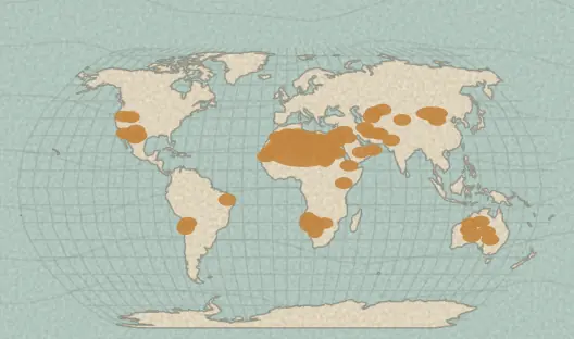 Map of the area covered by the Deserts quiz
